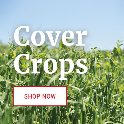 Farm Seed