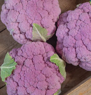 Lavender Cauliflower