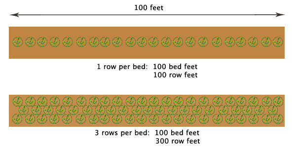 How to Plan a Market Garden - Young Agrarians