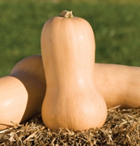 Waltham Butternut Squash