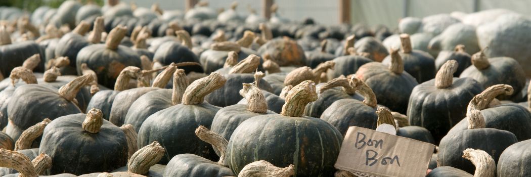 Winter Squash: Peak Flavor Chart