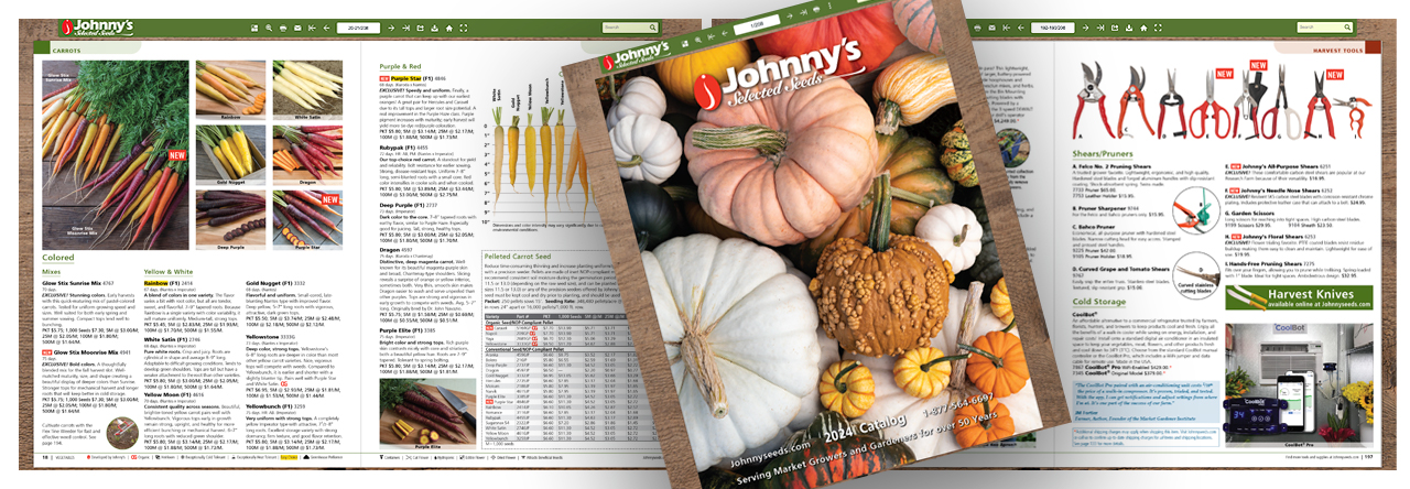 Pages of digital catalog
