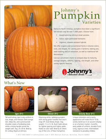 Johnny's Pumpkin Types & Varieties • 4-pp Brochure • PDF