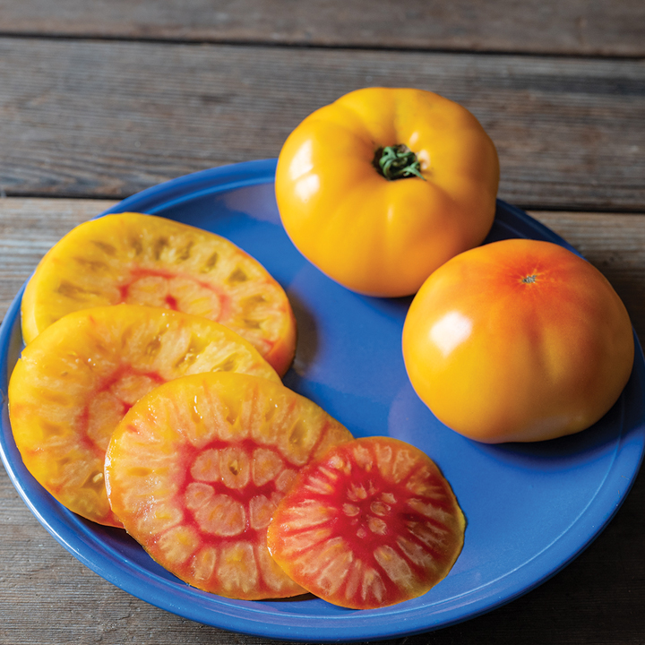 cut open yellow and orange tomato