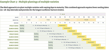 Sunflower Production Guide