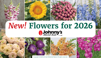 View Our Full New Flowers for 2026 Webinar Video