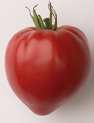 Cauralina oxheart French Heritage tomato