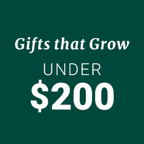 Gifts under $200