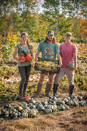 Harvesting the Winter Squash Trials at Johnny's Selected Seeds