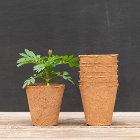 Round Fertil Pots &ndash; 3-1/8" dia. &ndash; 90 Ct.