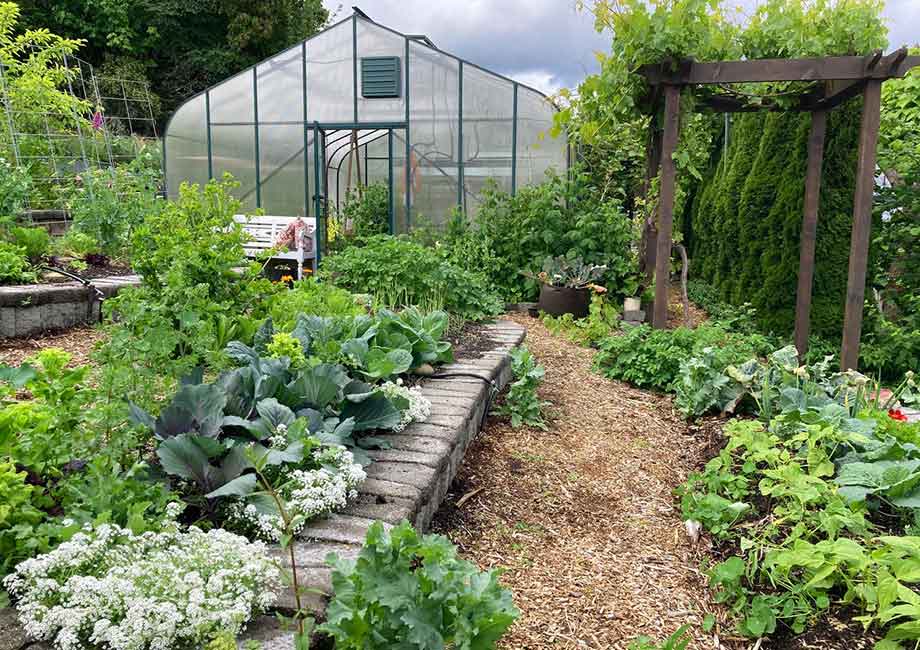 Contributor Donna Balzer's terraced garden combines vegetable, flower, and herb crops to attract and sustain beneficial organisms