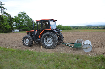 Soil compacting, post sowing