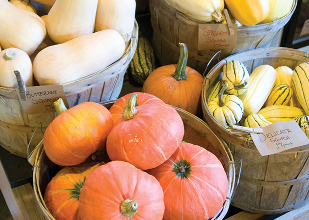 Learn why some winter squash and pumpkins just taste better