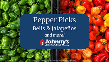 Pepper Picks: Bells & Jalapeños Webinar Slide Deck PDF