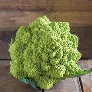 Puntoverde Cauliflower