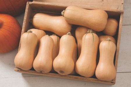 Butternut Squash