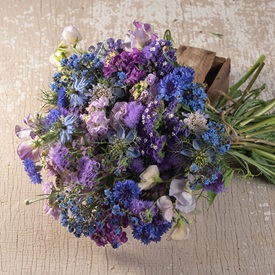 Flowers By Color