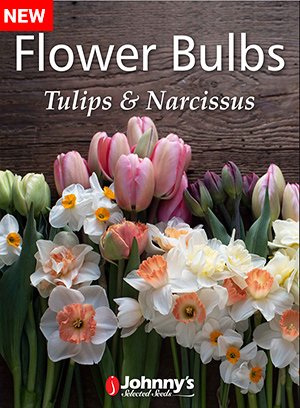 Johnny's Flower Bulb Digital Catalog