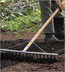 Bed prep - #1 step to successful carrrots