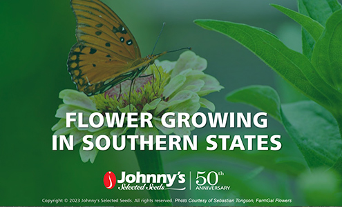 Flower Growing in Southern States Webinar Recap/Slide Deck • 56-pp PDF
