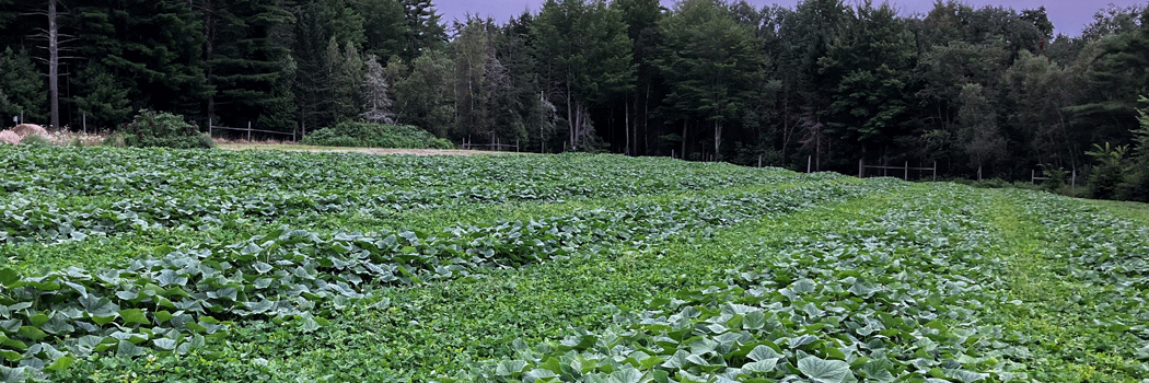 Register for our soil health webinar