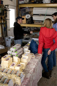 Laughingstock Farm