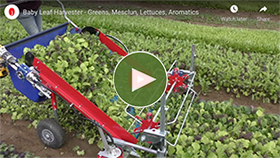 Watch the Baby Leaf Greens Harvester in Action