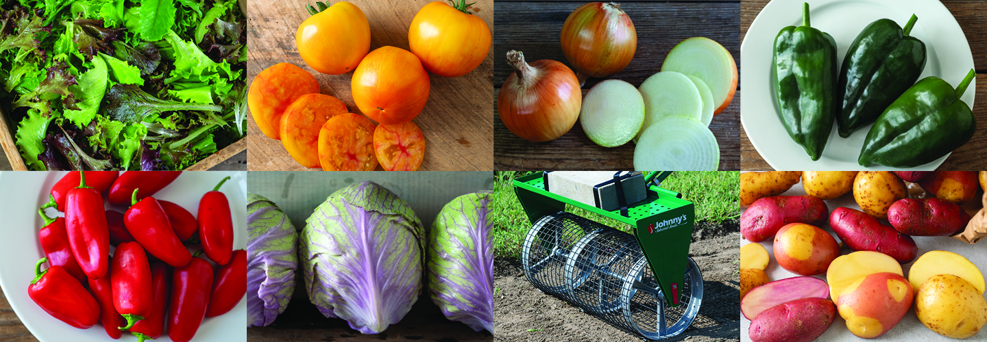 montage of vegetables and gardening products