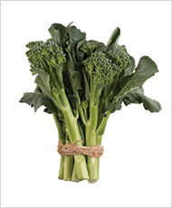Atlantis Broccoli Gailon