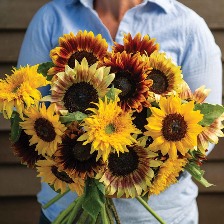 Bouquet of sunflowers
