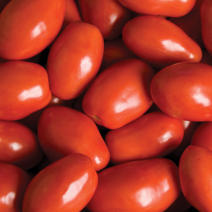 Red Paste Tomatoes