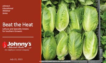 Lettuce & Greens for Southern Growers Webinar Recap/Slideshow • 53-pp PDF