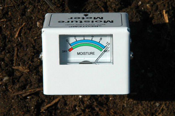 Use a moisture meter to accurately determine soil moisture.
