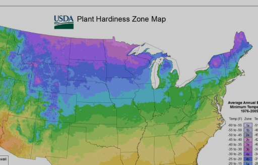 Find your growing zone...