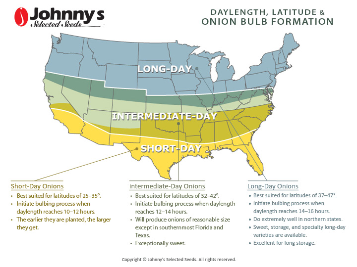 Map of overlapping types of long-, intermediate-, and short-say onions