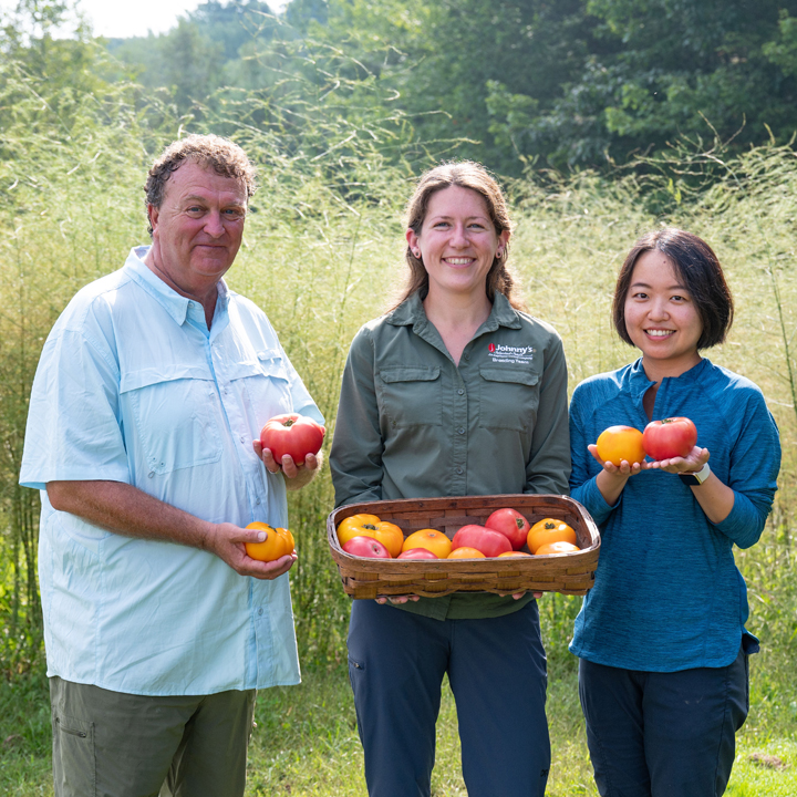 plant breedings holding vegetables