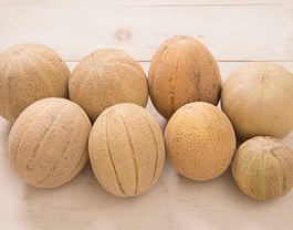 8 Cantaloupe Varieties
