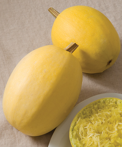 Spaghetti squash; the fruits can be kept in storage, but are best eaten within three months of harvesting.