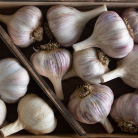 garlic bulbs