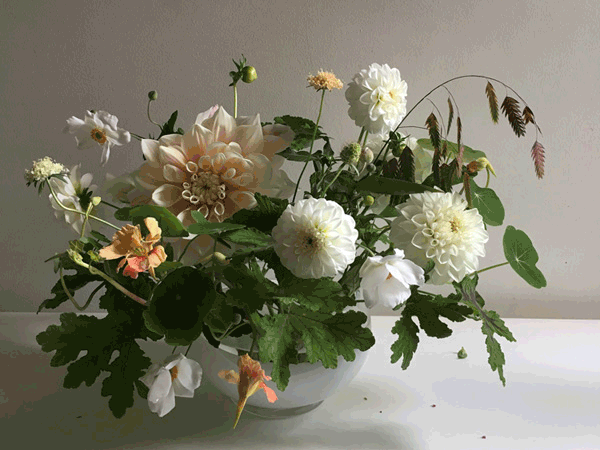 Bouquets by Sarah Nixon of My Lucious Backyard