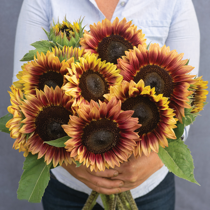 bouquet of sunflowers