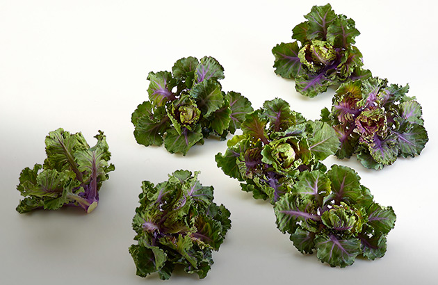 Kalettes — from Johnny's