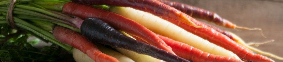 Carrots - Key Growing Information Alt text Carrots - Key Growing Information Alt text
