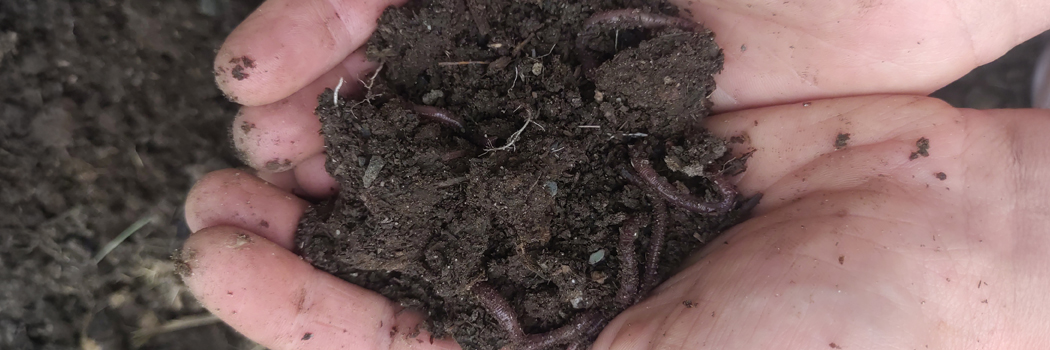Register for our soil health webinar