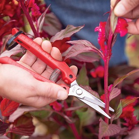 ARS SE45 Floral Shears