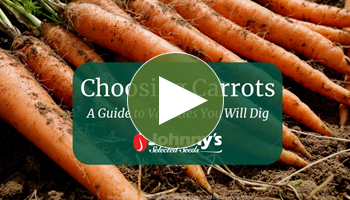View Our Full Choosing Carrots Webinar Video