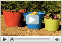 Tub Trugs Gorilla Tubs (formerly TubTrugs)