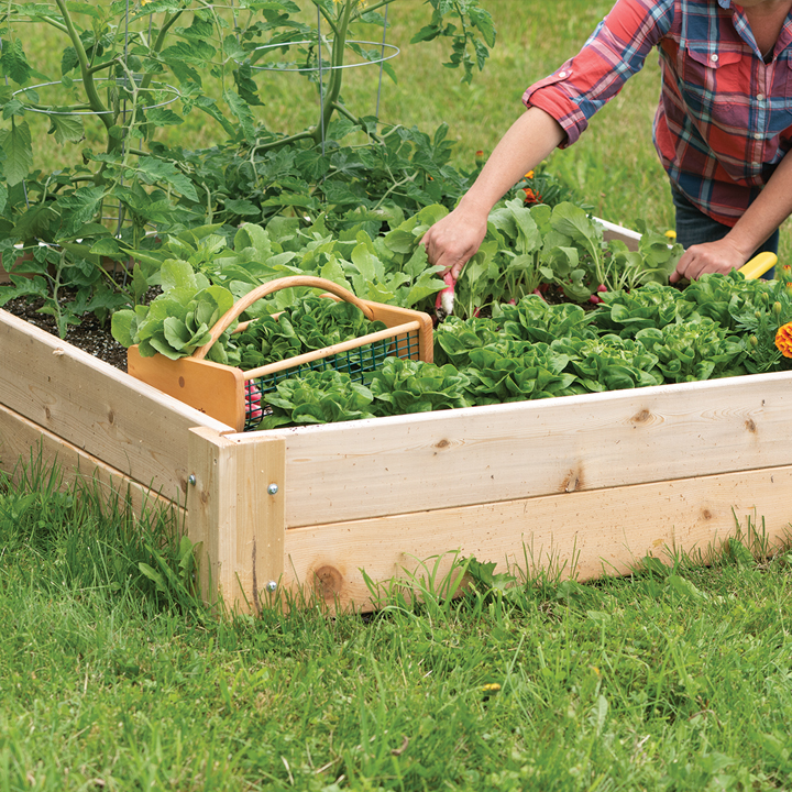 Raised Planter Garden