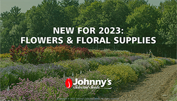 New-for-2023 Flowers Webinar Recap/Slideshow • 29-pp PDF