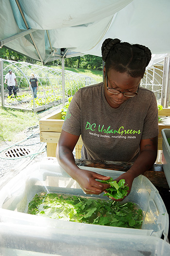 Non-profit organization DC Urban Greens brings low-cost, fresh to the city's food deserts.